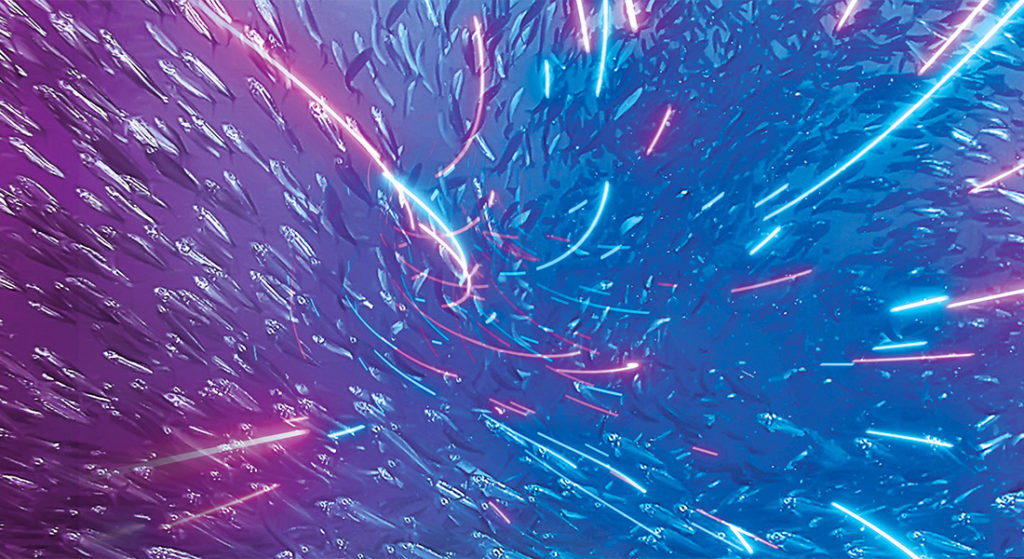 Smart Industry: Precision Fishing: Net benefits